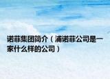 諾菲集團(tuán)簡介（浦諾菲公司是一家什么樣的公司）