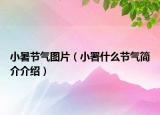 小暑節(jié)氣圖片（小署什么節(jié)氣簡介介紹）