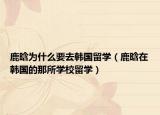 鹿晗為什么要去韓國(guó)留學(xué)（鹿晗在韓國(guó)的那所學(xué)校留學(xué)）