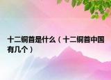 十二銅首是什么（十二銅首中國(guó)有幾個(gè)）