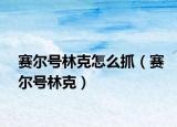 賽爾號林克怎么抓（賽爾號林克）