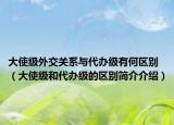 大使級外交關系與代辦級有何區(qū)別（大使級和代辦級的區(qū)別簡介介紹）