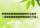 鄭爽和張翰演的電視劇叫什么名字（鄭爽張翰電視劇有哪些簡介介紹）