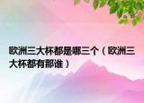 歐洲三大杯都是哪三個(gè)（歐洲三大杯都有那誰）