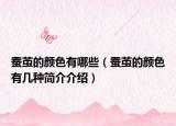 蠶繭的顏色有哪些（蠶繭的顏色有幾種簡(jiǎn)介介紹）