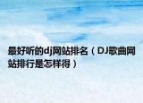 最好聽的dj網站排名（DJ歌曲網站排行是怎樣得）