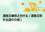 濕地又被稱之為什么（濕地又稱什么簡(jiǎn)介介紹）