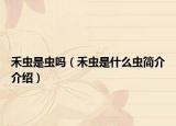 禾蟲是蟲嗎（禾蟲是什么蟲簡(jiǎn)介介紹）
