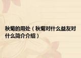 秋菊的用處（秋菊對(duì)什么益友對(duì)什么簡(jiǎn)介介紹）