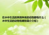 在水中生活的其他種類的動物都有什么（水中生活的動物有哪些簡介介紹）