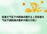 標(biāo)準(zhǔn)大氣壓下水的沸點是什么（在標(biāo)準(zhǔn)大氣壓下油的沸點是多少簡介介紹）