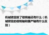 機(jī)械鍵盤除了櫻桃軸還有什么（機(jī)械鍵盤的櫻桃軸和國(guó)產(chǎn)軸有什么區(qū)別）
