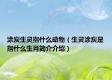 涂炭生靈指什么動(dòng)物（生靈涂炭是指什么生肖簡介介紹）