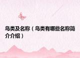 鳥類及名稱（鳥類有哪些名稱簡介介紹）