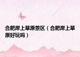 合肥岸上草原景區(qū)（合肥岸上草原好玩嗎）