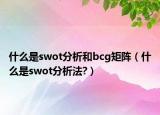 什么是swot分析和bcg矩陣（什么是swot分析法?）
