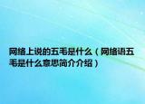 網(wǎng)絡(luò)上說的五毛是什么（網(wǎng)絡(luò)語(yǔ)五毛是什么意思簡(jiǎn)介介紹）