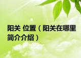 陽(yáng)關(guān) 位置（陽(yáng)關(guān)在哪里簡(jiǎn)介介紹）