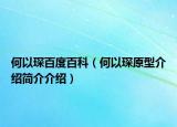 何以琛百度百科（何以琛原型介紹簡(jiǎn)介介紹）