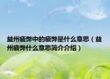 益州疲弊中的疲弊是什么意思（益州疲弊什么意思簡介介紹）
