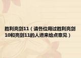 勝利亮劍11（請各位用過勝利亮劍10和亮劍11的人進(jìn)來給點(diǎn)意見）