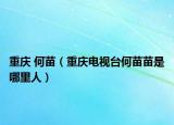 重慶 何苗（重慶電視臺何苗苗是哪里人）