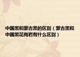 中國黑和蒙古黑的區(qū)別（蒙古黑和中國黑花崗巖有什么區(qū)別）
