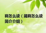 蕤怎么讀（葳蕤怎么讀簡介介紹）