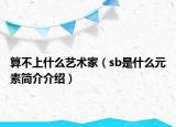 算不上什么藝術(shù)家（sb是什么元素簡(jiǎn)介介紹）