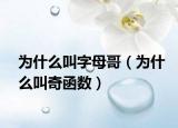 為什么叫字母哥（為什么叫奇函數(shù)）