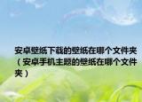 安卓壁紙下載的壁紙?jiān)谀膫€(gè)文件夾（安卓手機(jī)主題的壁紙?jiān)谀膫€(gè)文件夾）
