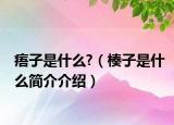 痦子是什么?（楱子是什么簡(jiǎn)介介紹）