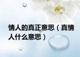 情人的真正意思（真情人什么意思）