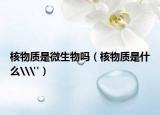 核物質(zhì)是微生物嗎（核物質(zhì)是什么\
