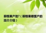 碧根果產(chǎn)地?（碧根果哪里產(chǎn)的簡介介紹）
