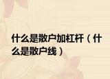 什么是散戶加杠桿（什么是散戶線）