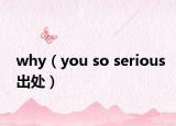 why（you so serious出處）