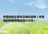 食用肉雞主要包含哪些品種（肉食雞的種類(lèi)有哪些簡(jiǎn)介介紹）