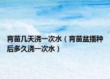 育苗幾天澆一次水（育苗盆播種后多久澆一次水）