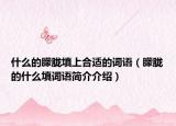 什么的朦朧填上合適的詞語（朦朧的什么填詞語簡介介紹）