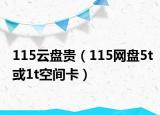 115云盤貴（115網盤5t或1t空間卡）
