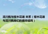 流川楓與櫻木花道 關(guān)系（櫻木花道與流川楓他們的最終結(jié)局）