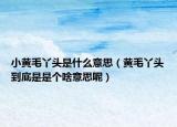 小黃毛丫頭是什么意思（黃毛丫頭到底是是個(gè)啥意思呢）