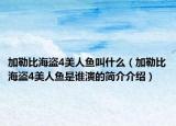 加勒比海盜4美人魚(yú)叫什么（加勒比海盜4美人魚(yú)是誰(shuí)演的簡(jiǎn)介介紹）