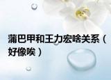 蒲巴甲和王力宏啥關(guān)系（好像唉）
