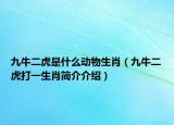 九牛二虎是什么動物生肖（九牛二虎打一生肖簡介介紹）