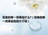 裝備的唯一效果是什么?（裝備的唯一效果是指簡(jiǎn)介介紹）