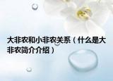 大非農(nóng)和小非農(nóng)關系（什么是大非農(nóng)簡介介紹）