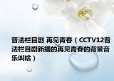 普法欄目劇 再見青春（CCTV12普法欄目劇新播的再見青春的背景音樂叫啥）