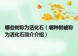 哪些樹稱為活化石（哪種樹被稱為活化石簡介介紹）